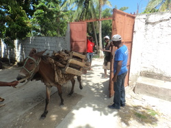 Déchargement du voilier Vagabonde à l'Île à Vache