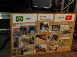 ELISA à Carnac (56)