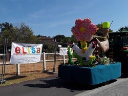 Fête de l'Oie à Courcoury (17)