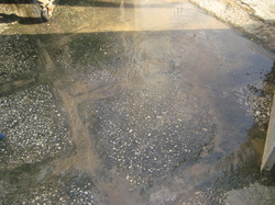 La nouvelle cour  de la Maison d'Amour d'Ho Chi Minh Ville