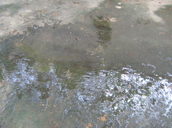 La nouvelle cour de la Maison d'Amour d'Ho Chi Minh Ville