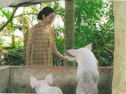 Micro-crédits Vietnam