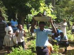 Reboisement de Marbial : opération jardins scolaires