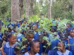 Reboisement de Marbial : opération jardins scolaires