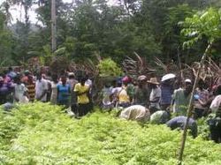 Reboisement de Marbial : opération jardins scolaires