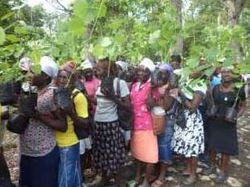 Reboisement de Marbial / Haïti