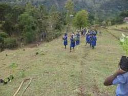 Reboisement de Marbial / Haïti